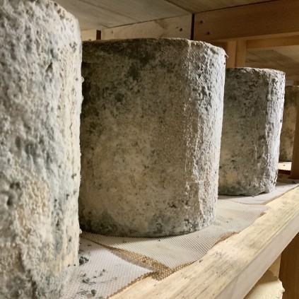 REY SILO MAMÁ MARISA