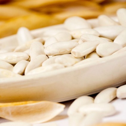 FABA ASTURIANA IGP 0,5 Kg