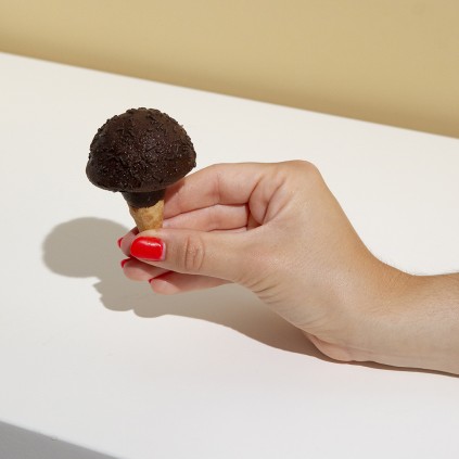 BLASITO DE CHOCOLATE NEGRO